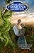 Jack and the Beanstalk (Fae...