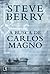 A Busca de Carlos Magno (Cotton Malone, #4)