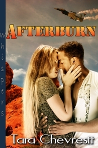 Afterburn (Kindle Edition)