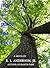 It's a Place for Trees (Will Nickerson Mysteries #2)
