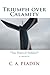 Triumph over Calamity: What Really Happened on the Carnival Triumph A Memoir