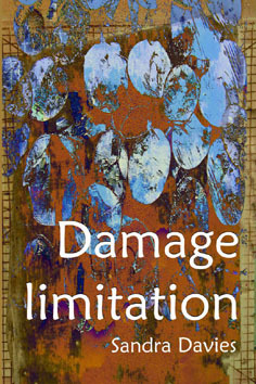 Damage limitation (Bridie and Sean #4)