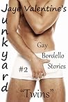 Junkyard by Jaye Valentine