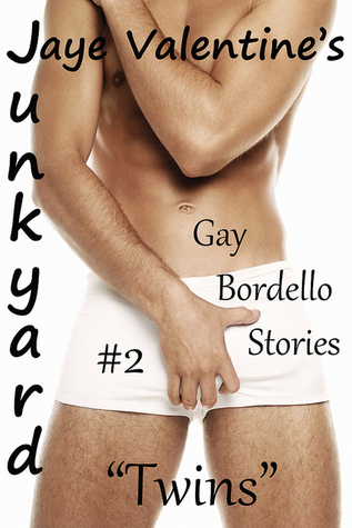 Junkyard: Gay Bordello Stories: #2 