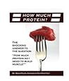 How Much Protein How Much Protein