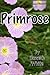 Primrose