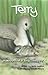 Terry: Adventures of a Terek Sandpiper
