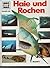 Haie und Rochen (Was ist wa...