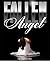 Fallen Angel (The Dark Side...