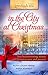 Love Finds You in the City at Christmas