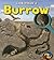 Look Inside a Burrow