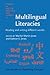 Multilingual Literacies (Studies in Written Language and Literacy)