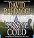 Stone Cold (Camel Club, #3)