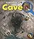 Look Inside a Cave