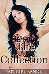 The Collection (Two Short Erotic Stories)