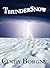 ThunderSnow