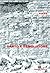 Canto e demolizione, 8 poeti spagnoli contemporanei by Lorenzo Mari