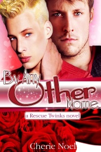 By Any Other Name (Rescue Twinks #3)