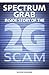 Spectrum Grab: Inside Story of the 2G Scam