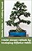 Creating Bonsai: Master Simple Methods by Developing Effective Habits