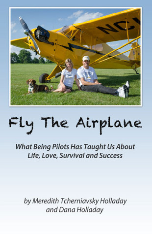 Fly The Airplane