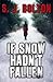 If Snow Hadn't Fallen by Sharon J. Bolton
