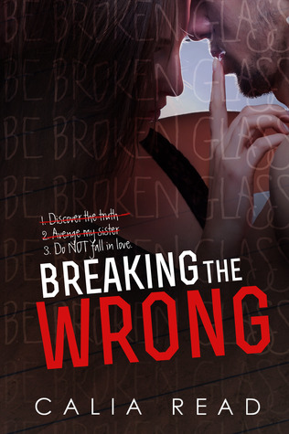 Breaking the Wrong (Sloan Brothers, #2)