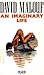 An Imaginary Life