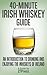 40-Minute Irish Whiskey Guide: An Introduction to Drinking and Enjoying the Whiskeys of Ireland