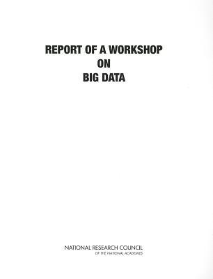 Big Data: A Workshop Report