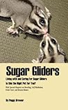 Sugar Gliders Sugar Gliders