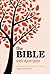 Bible New Revised Standard Version Bible (Anglicized) With Apocrypha