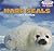 Harp Seals (Powerkids Readers: Sea Friends)