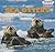 Sea Otters (Powerkids Readers: Sea Friends)