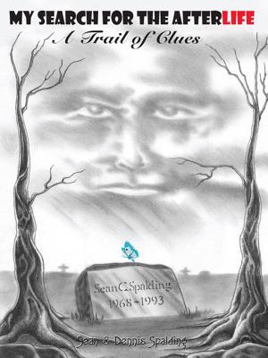 My Search for the Afterlife: A Trail of Clues