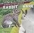 Tell Me the Difference Between a Rabbit and a Hare (How Are They Different?)