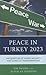 Peace in Turkey 2023: The Q...