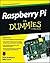 Raspberry Pi for Dummies