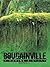 Bougainville: A Marine's Story