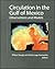 Circulation in the Gulf of Mexico: Observations and Models