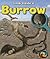 Burrow: Look Inside