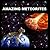 Amazing Meteorites