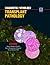 Transplant Pathology by Andrew C. Chang
