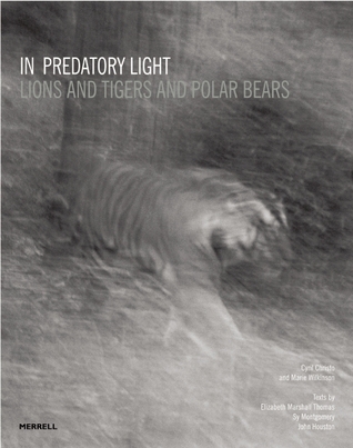 In Predatory Light: Lions and Tigers and Polar Bears (Hardcover)