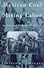 Mexican Coal Mining Labor in Texas and Coahuila, 1880-1930 (Volume 2) (Rio Grande/Río Bravo: Borderlands Culture and Traditions)