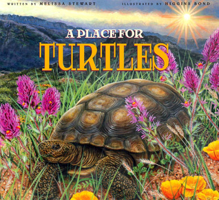 A Place for Turtles (A Place for..., 6)