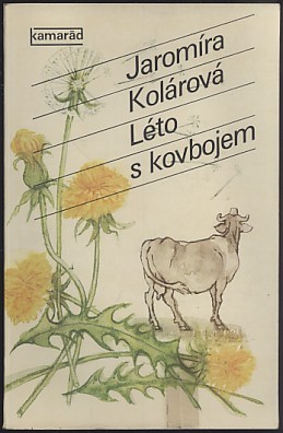 Léto s kovbojem