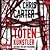 Totenkünstler (Robert Hunter, #4)