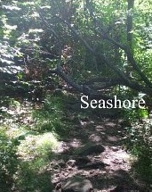 Seashore (Seashore Novels)