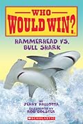 Hammerhead vs. Bull Shark